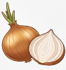 Лук репчатый озимый