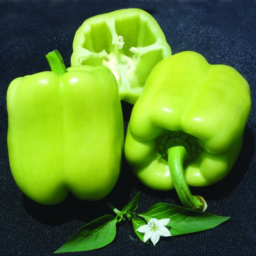 Перец сладкий Дельфин F1 (1000 c)