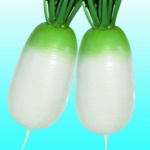 Дайкон Эйс Спринг F1 (5000 с)