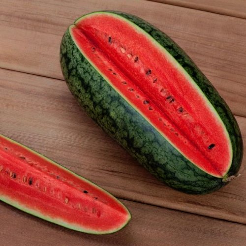 Арбуз Гарден Фист F1 (1000 с)