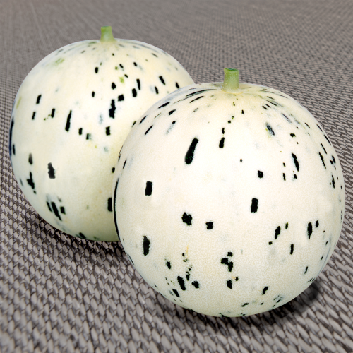 Дыня Принцесса Лея F1 (1000 с)