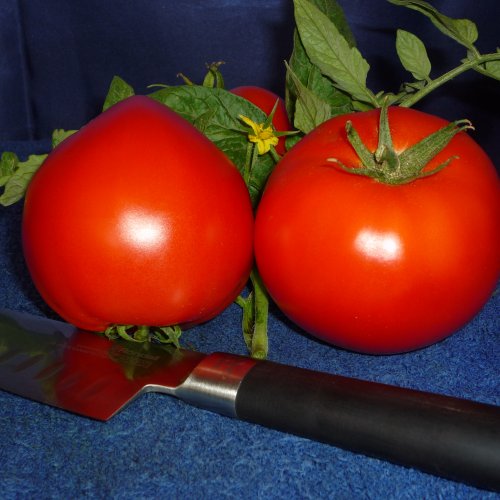 Томат Тиамонд F1 (500 с)