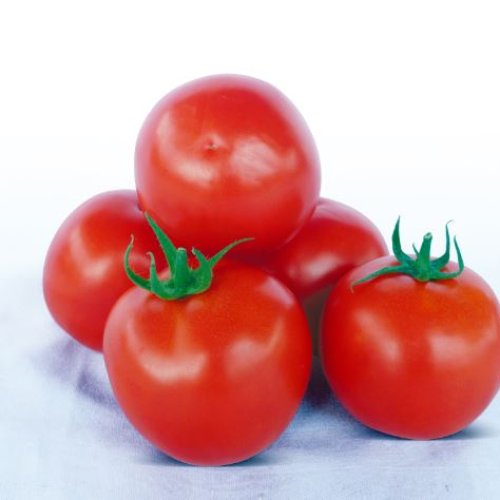 Томат Аади F1 (1000 с)