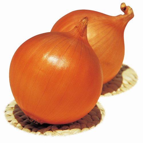 Лук репчатый Нонгву Бест F1 (250 000 с)