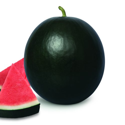 Арбуз Гибсон F1 (1000 с)