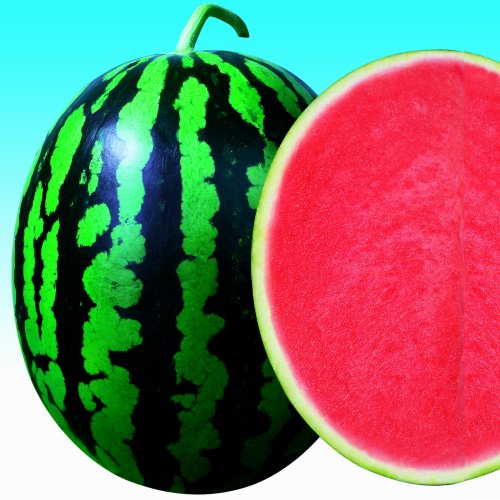 Арбуз Сид Зеро F1 (1000 с)