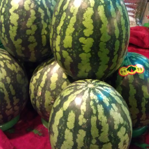 Арбуз Мой Медок F1 (1000 с)