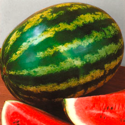 Арбуз АУ Продюсер ПвП (500 г)